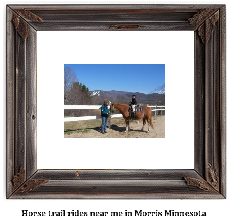 horse trail rides near me in Morris, Minnesota